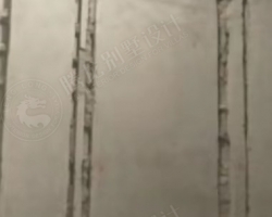 富力湾水电阶段工地现场图-4