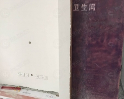 佘山玺樾涂装阶段工地现场图-1