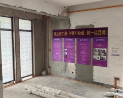 观庭水电阶段工地现场图-2