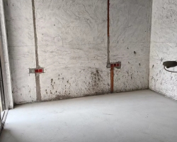 大华公园荟木作阶段工地现场图-2