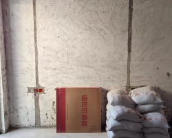 大华公园荟木作阶段工地现场图-5