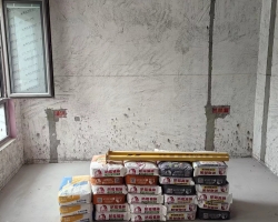 大华公园荟木作阶段工地现场图-9