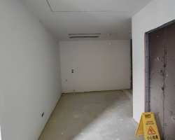泰禾大城小院涂装阶段工地现场图-1