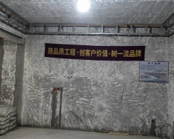 融信铂湾木作阶段工地现场图-1