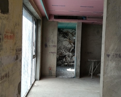 新浦江城木作阶段工地现场图-4