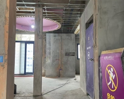 尚东国际名园木作阶段工地现场图-8