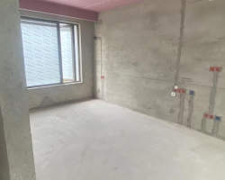 海洲丽园木作阶段工地现场图-3