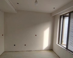 海洲丽园涂装阶段工地现场图-3