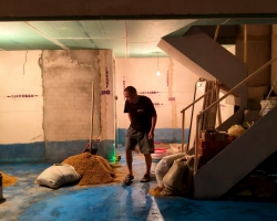 四季都会绿龙北木作阶段工地现场图-5