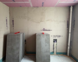 安联湖山悦木作阶段工地现场图-2