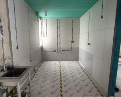 安联湖山悦木作阶段工地现场图-7