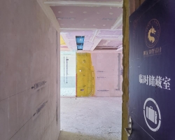 东方雅苑涂装阶段工地现场图-8