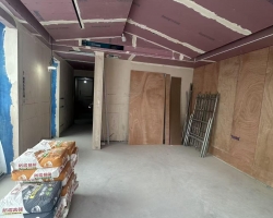 天宸国际社区涂装阶段工地现场图-3